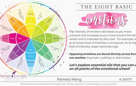 8 Basic Emotions
