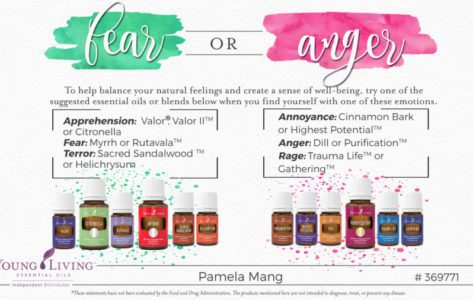 Emotions Fear or Anger