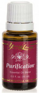Purification bottle